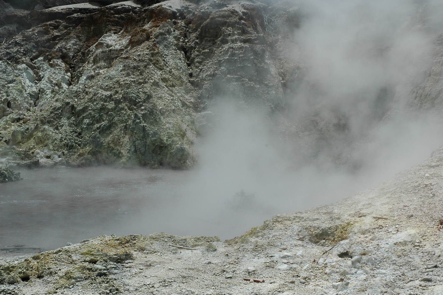 383   04 02   Rotorua